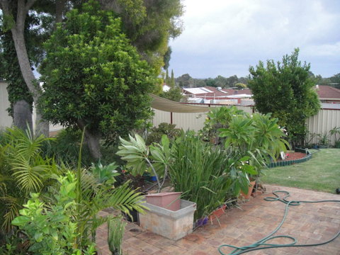 Armadale Cottage Bed & Breakfast - Australian Directory 39