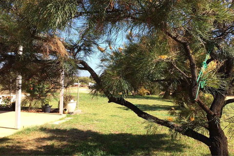 Ocean View Homestead - Australian Directory 23