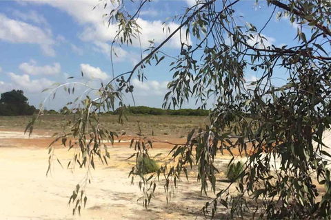 Ocean View Homestead - Australian Directory 16