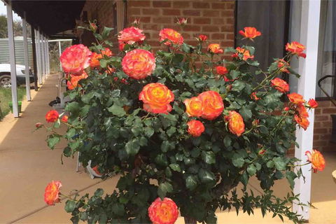 Ocean View Homestead - Australian Directory 22