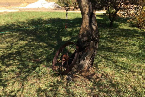 Ocean View Homestead - Australian Directory 18