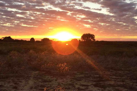 Ocean View Homestead - Australian Directory 11