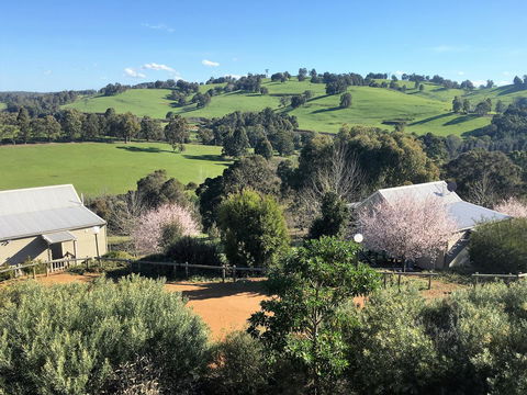 Balingup Highview Chalets - Australian Directory 5