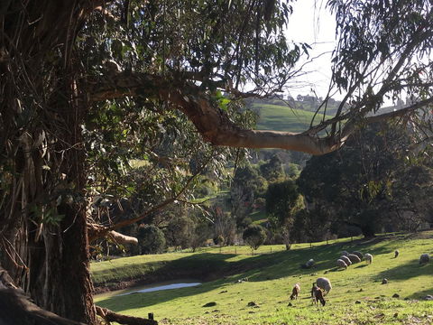 Balingup Highview Chalets - Australian Directory 13