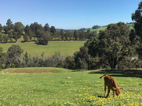 Balingup Highview Chalets - Australian Directory 23