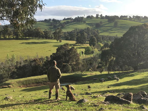 Balingup Highview Chalets - Australian Directory 27