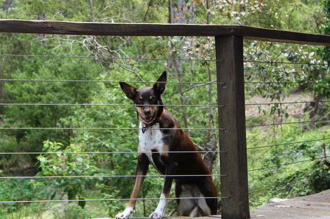 Ark Of Denmark - Australian Directory 10