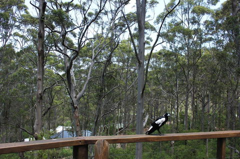 Ark Of Denmark - Australian Directory 11