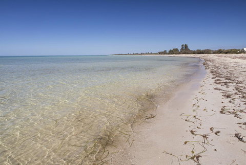 Boardwalk - Australian Directory 24