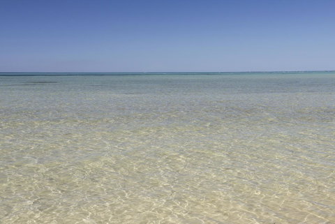 Boardwalk - Australian Directory 23