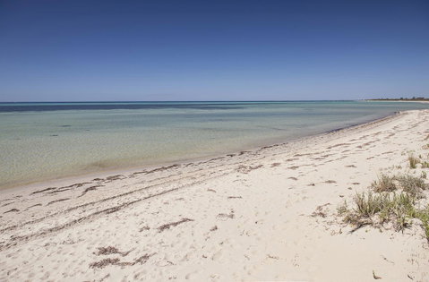 Boardwalk - Australian Directory 0