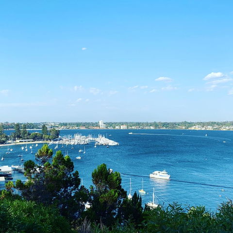 SEA BREEZE â€“ Between Cottesloe Beach & Swan River - Australian Directory 23