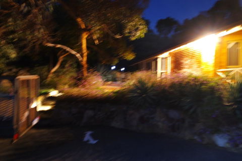 Eleebana Guest House - Australian Directory 34