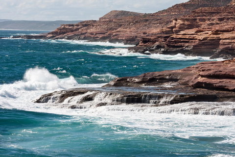 Kalbarri Palm Resort - Australian Directory 44
