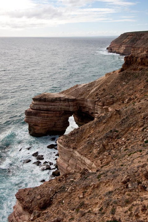 Kalbarri Palm Resort - Australian Directory 32