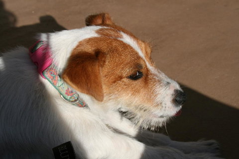 Bremer Bay B&B - Australian Directory 25