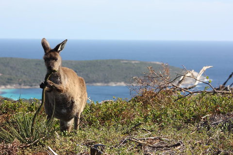 Bremer Bay B&B - Australian Directory 30