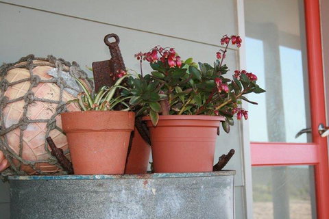 Bremer Bay B&B - Australian Directory 28