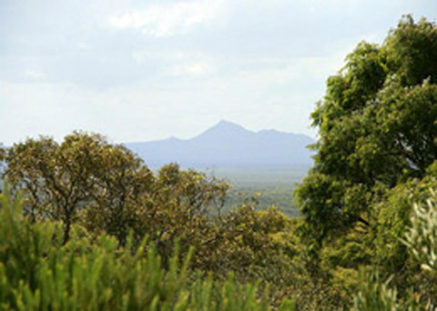 Bremer Bay B&B - Australian Directory 32