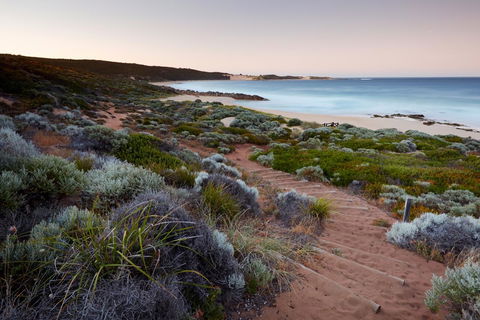 Injidup Spa Retreat - Australian Directory 44
