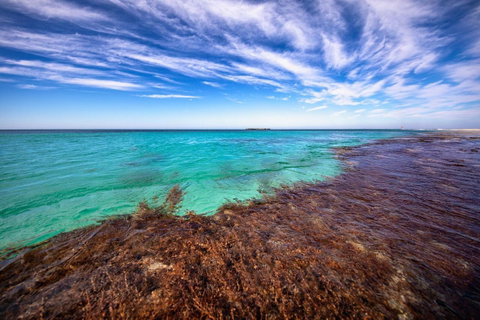 Discovery Resorts - Rottnest Island - Australian Directory 24