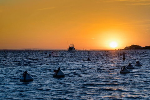 Discovery Resorts - Rottnest Island - Australian Directory 27
