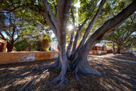 Discovery Resorts - Rottnest Island - Australian Directory 23