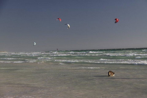 Dongara Tourist Park - Australian Directory 33