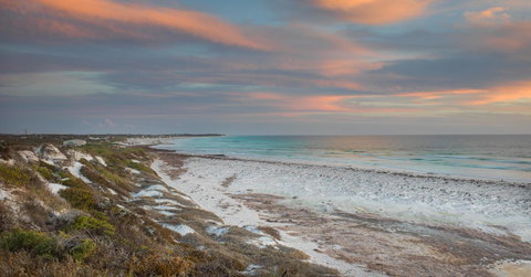 Dongara Tourist Park - Australian Directory 36