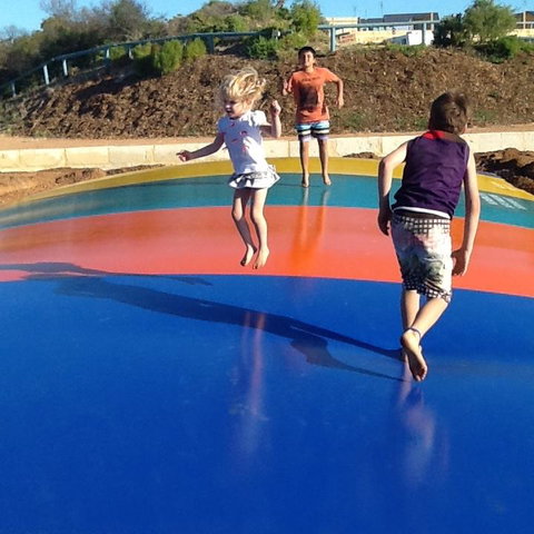 Dongara Tourist Park - Australian Directory 5