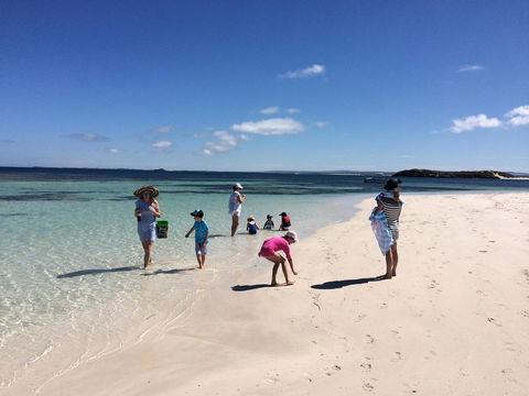 Acaciabnb - Australian Directory 0