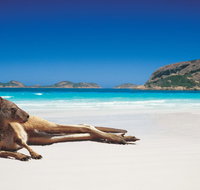 The Shiralee - Australian Directory