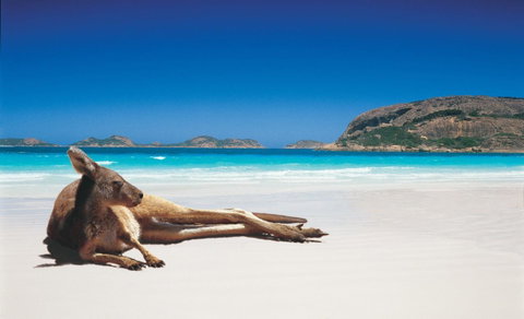 Shiralee Hostel -note - Valid Passport Required To Check In - Australian Directory 0