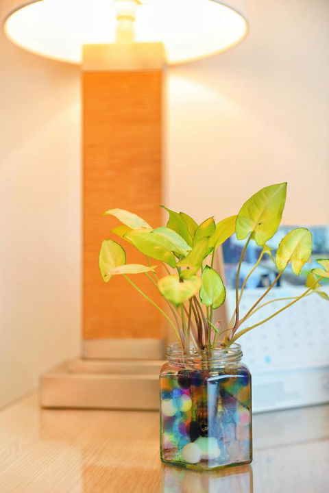 Bunbury Hotel Koombana Bay - Australian Directory 7