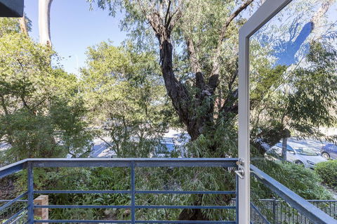 Cottesloe Tree Top Studio - Executive Escapes - Australian Directory 10