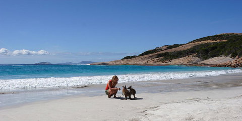 Esperance YHA - Australian Directory 19