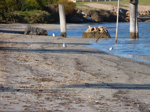 Leander Reef Holiday Park - Australian Directory 6