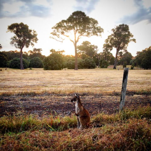 Ironstone Studio Margaret River - Australian Directory 18
