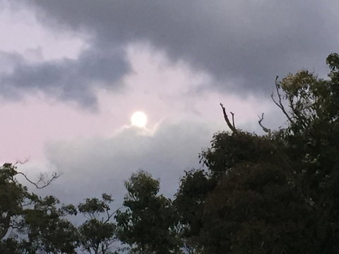 Eagle Bay House - Australian Directory 16