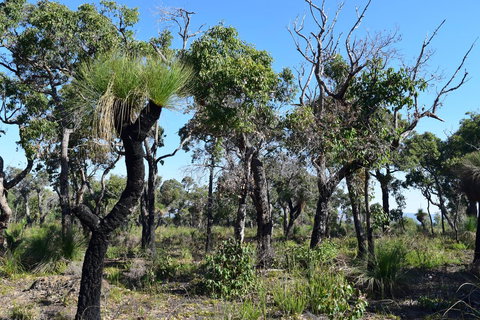 Eagle Bay House - Australian Directory 25