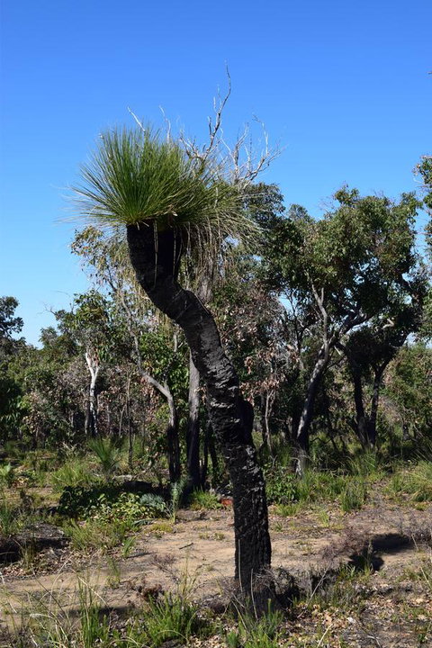 Eagle Bay House - Australian Directory 26