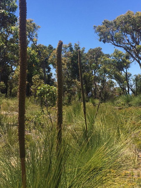 Eagle Bay House - Australian Directory 15