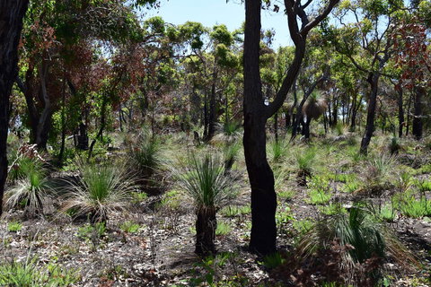 Eagle Bay House - Australian Directory 27