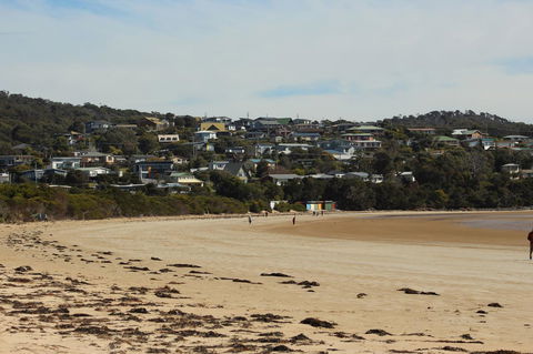Tamar Solar Home - Australian Directory 18
