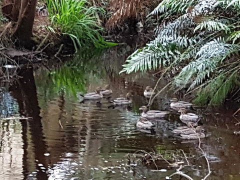 Strahan Retreat Holiday Park - Australian Directory 24