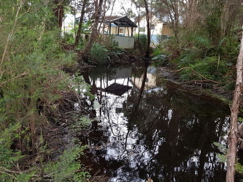 Strahan Retreat Holiday Park - Australian Directory 33