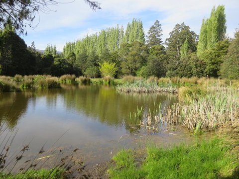 Giants Table And Cottages - Australian Directory 25