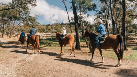 Country Club Tasmania - Australian Directory 7