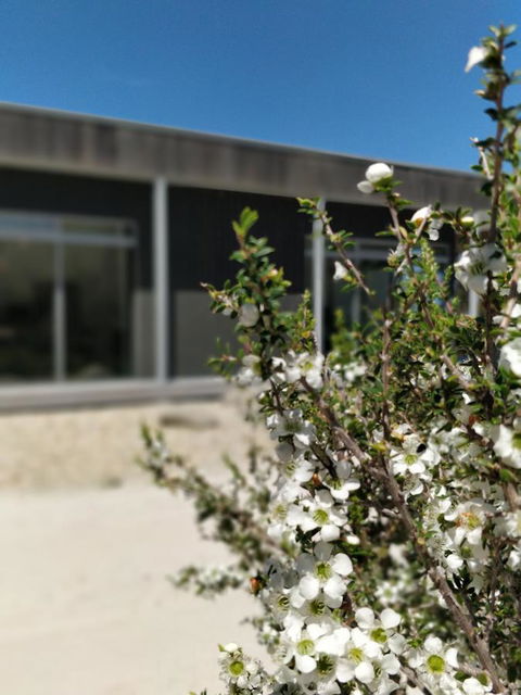 Aplite House - Australian Directory 7