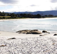 Mermaids of Bicheno - Australian Directory